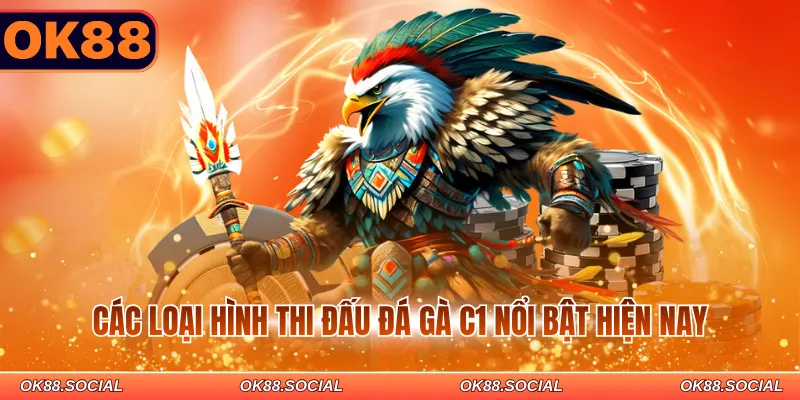 Các loại hình thi đấu đá gà C1 nổi bật hiện nay