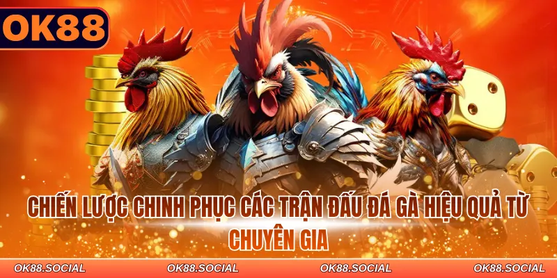 Chiến lược chinh phục các trận đấu đá gà hiệu quả từ chuyên gia