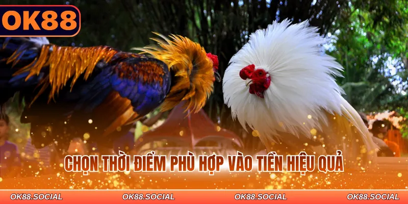 Chọn thời điểm phù hợp vào tiền hiệu quả