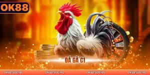 đá gà c1