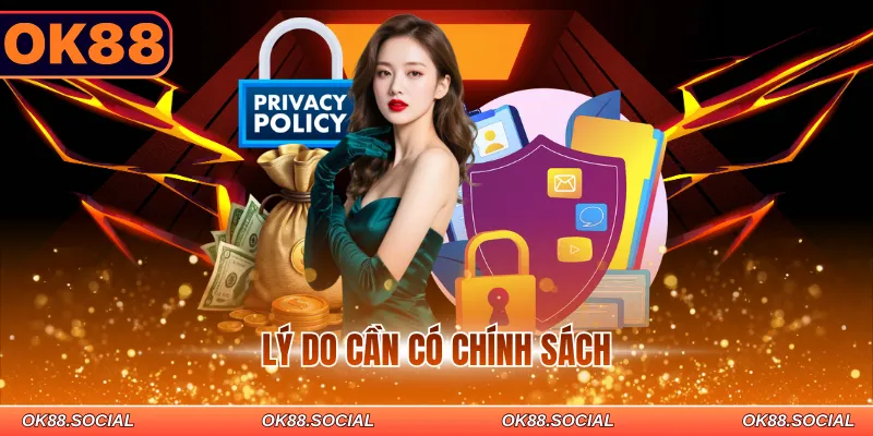 Lý do cần có chính sách