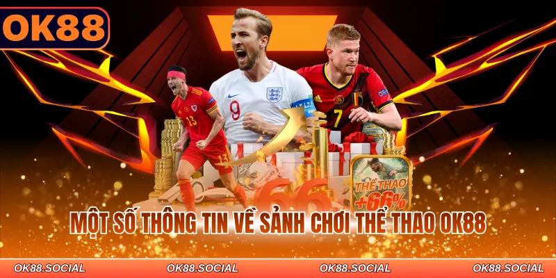 Một số thông tin về sảnh chơi thể thao OK88