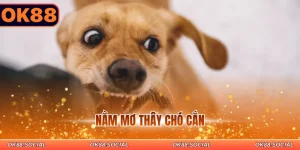nằm mơ thây chó cắn