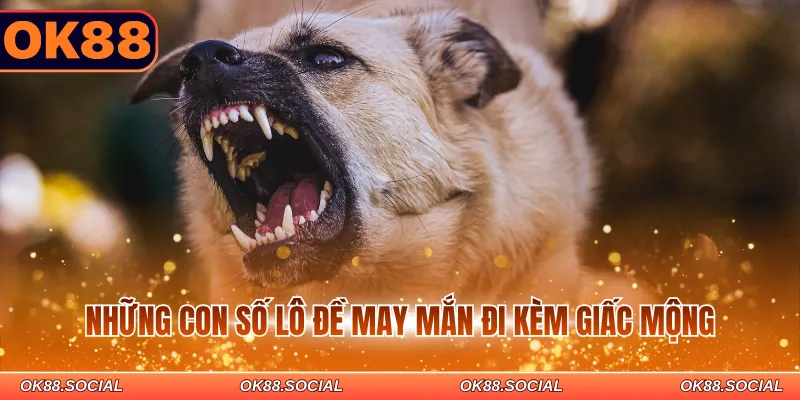 Những con số lô đề may mắn đi kèm giấc mộng