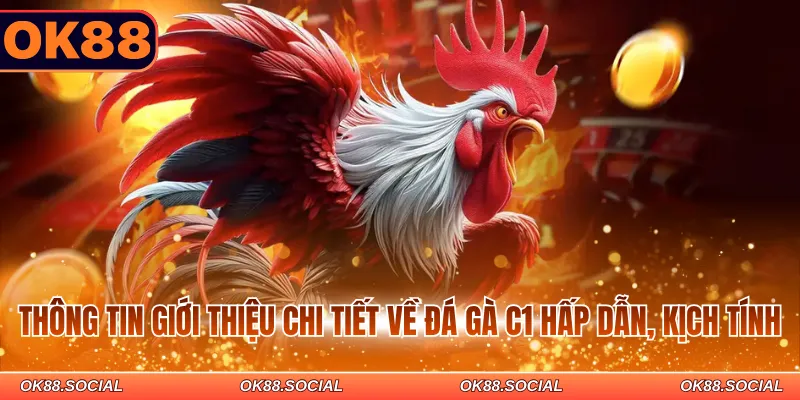 Thông tin giới thiệu chi tiết về đá gà C1 hấp dẫn, kịch tính