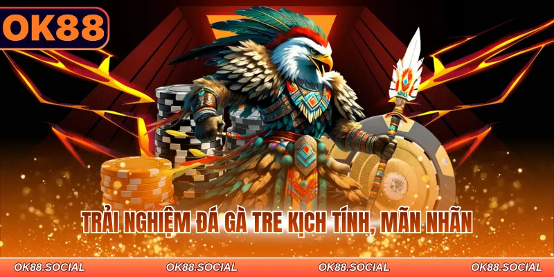 Trải nghiệm đá gà tre kịch tính, mãn nhãn