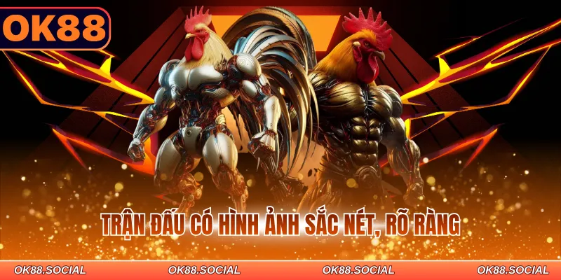 Trận đấu có hình ảnh sắc nét, rõ ràng